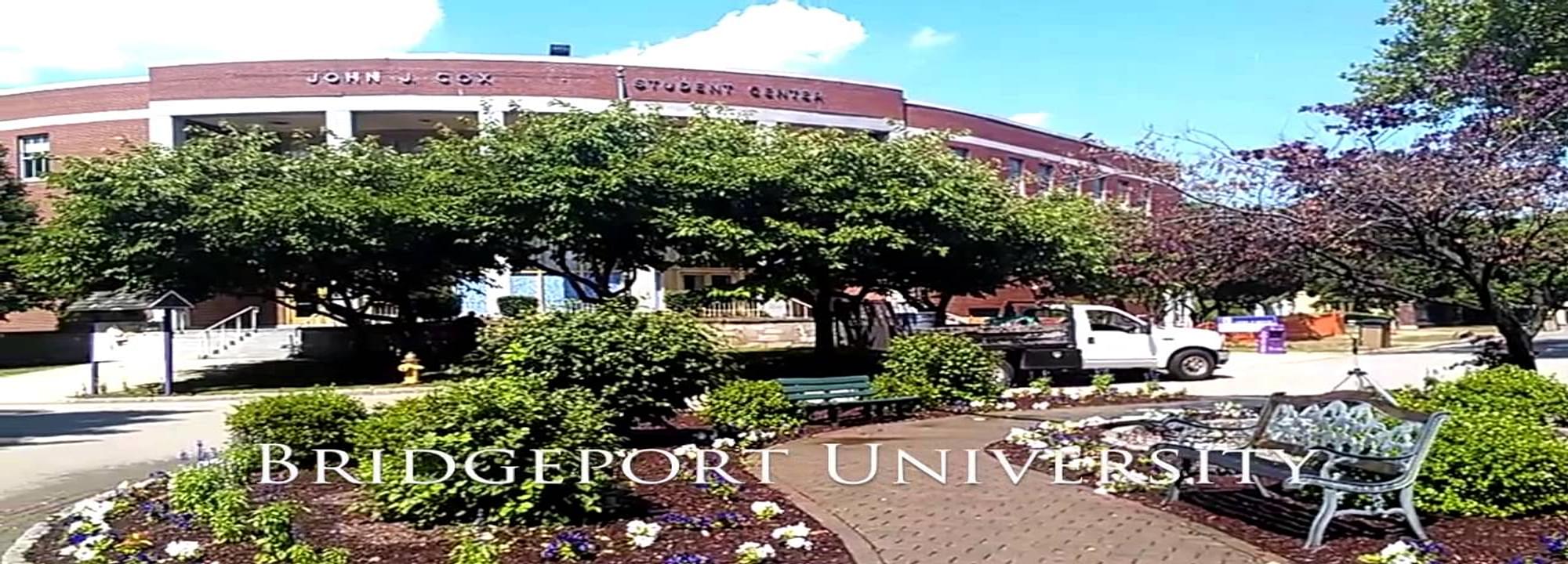 University Of Bridgeport, Bridgeport Courses, Fees, Ranking, & Admission  Criteria