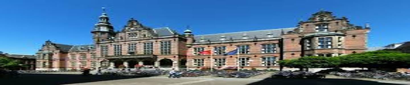 University of Groningen banner