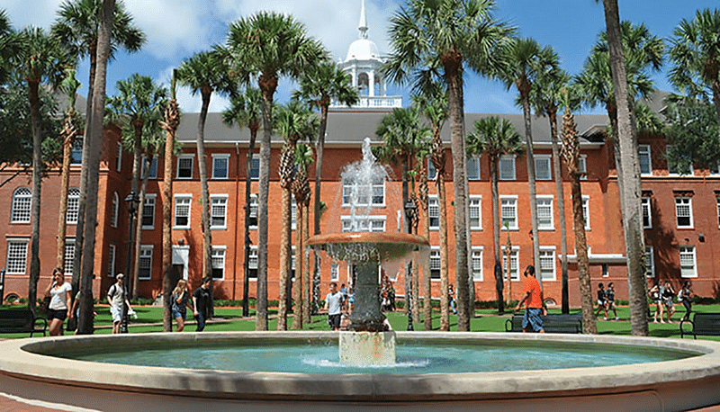 university of south florida campus