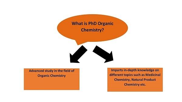 organic chemistry phd degree