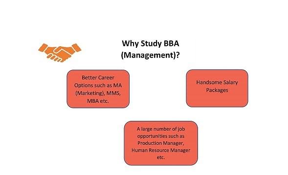 Bba Business Management Jobs