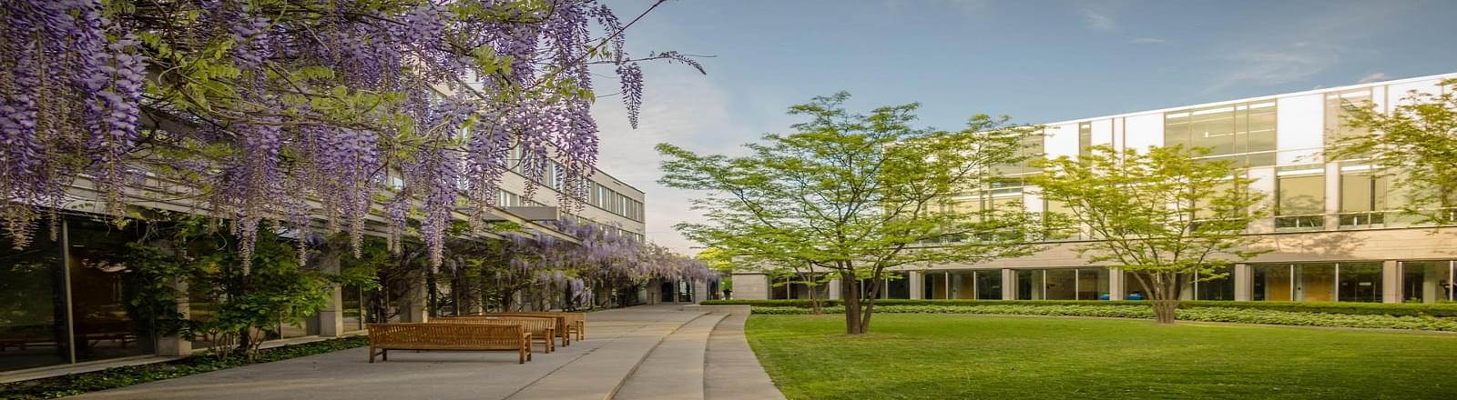 Schulich School Of Business, North York Courses, Fees, Ranking, & Admission  Criteria