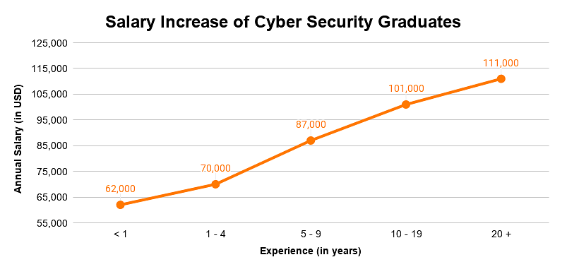 cyber security courses in usa