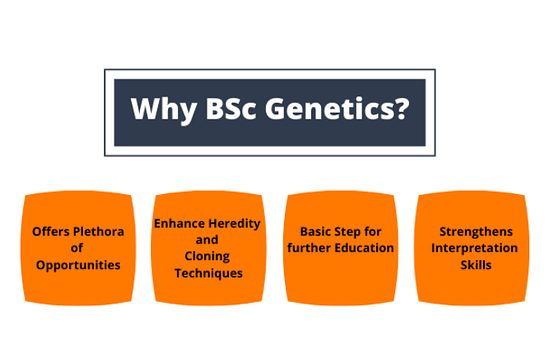 Why BSc Genetics?