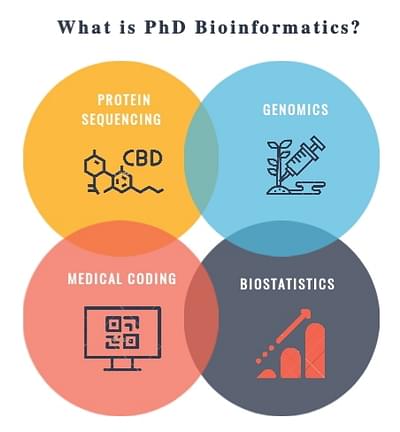phd in bioinformatics usa