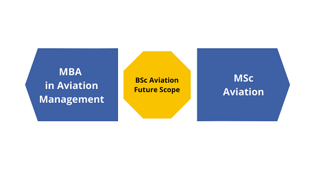 BSc Aviation Future Scope