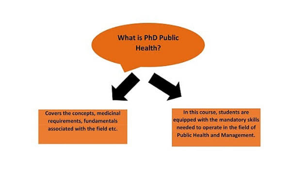 distance learning phd public health